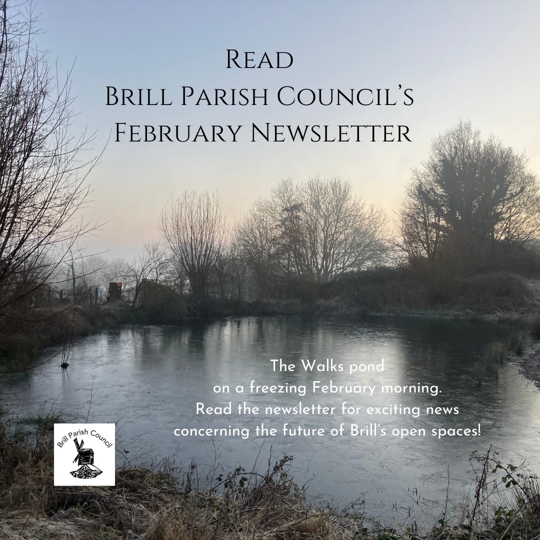 Brill Parish Council Newsletter now published - with some thrilling news about the future of Brill Common. 
Also in this issue... 
10 minutes with Cllr Jennifer Tuffley
FREE energy-saving homes workshop
Important Hartwell's Barn update
Visit the Bril