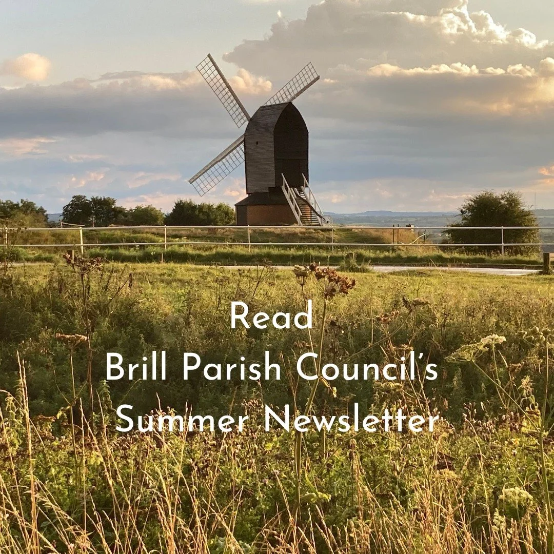 Welcome to the July &amp; August 2025 issue of Brill Parish Council&rsquo;s newsletter. In this high summer, two-month issue:

🍂 Help!

⛹️&zwj;♀️ Brill&rsquo;s best-kept secret?

🌳 Wildlife &amp; Community Ranger: Take 2

🫖 More tea, Vicar? Cream 