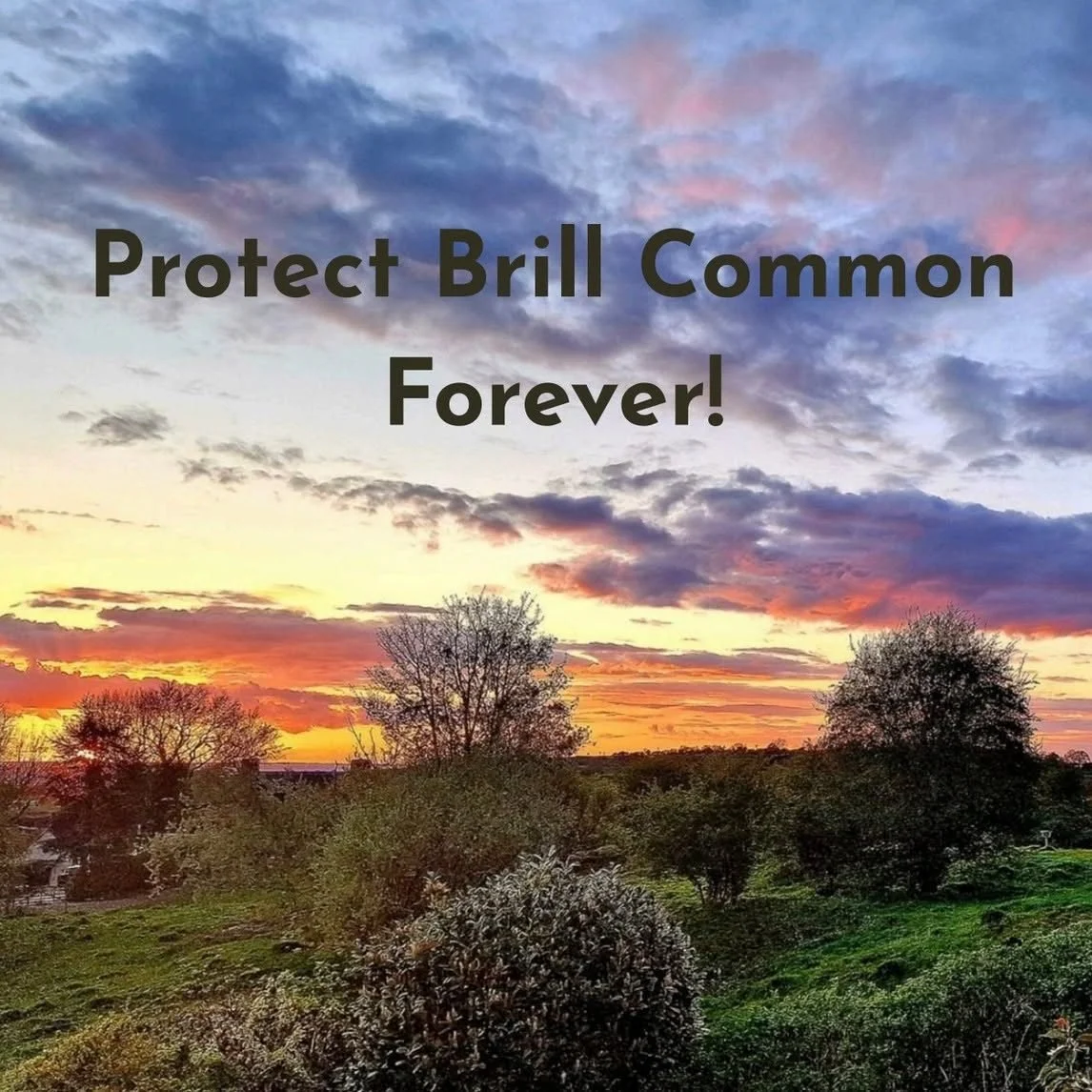 📣 Brill Parish Council wants to recruit a part-time WILDLIFE &amp; COMMUNITY RANGER to help deliver an exciting new National Lottery Heritage Fund project -

🌳 Protect Brill Common Forever! Securing the Future of Brill Common&rsquo;s Wildlife and C