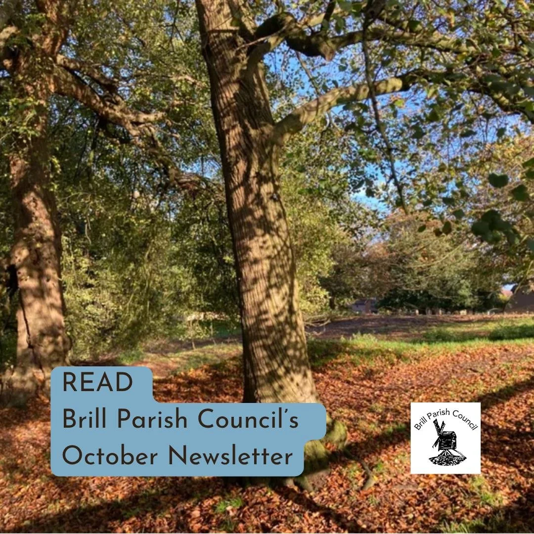 Welcome to Brill Parish Council's OCTOBER NEWSLETTER 🍂

In this issue -
Wildlife &amp; Community Ranger for Brill Common 🌳
What next for the Brill foodbank collection? 🆘
Buckinghamshire History Festival 👑
Tackling courier fraud - what it is and w