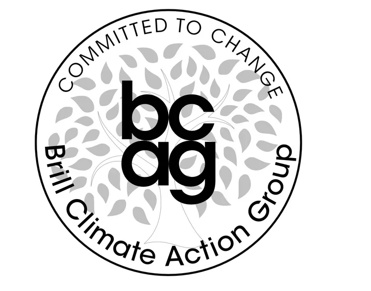 Brill Climate Action Group