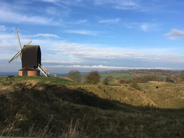 Friends of Brill Common
