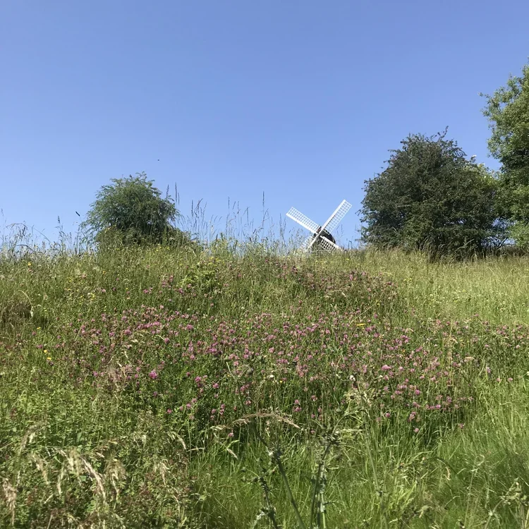 Brill Environment Group (BEG)