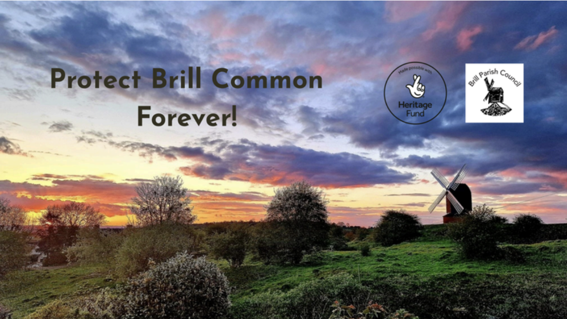 Wildlife &amp; Community Ranger Special Issue