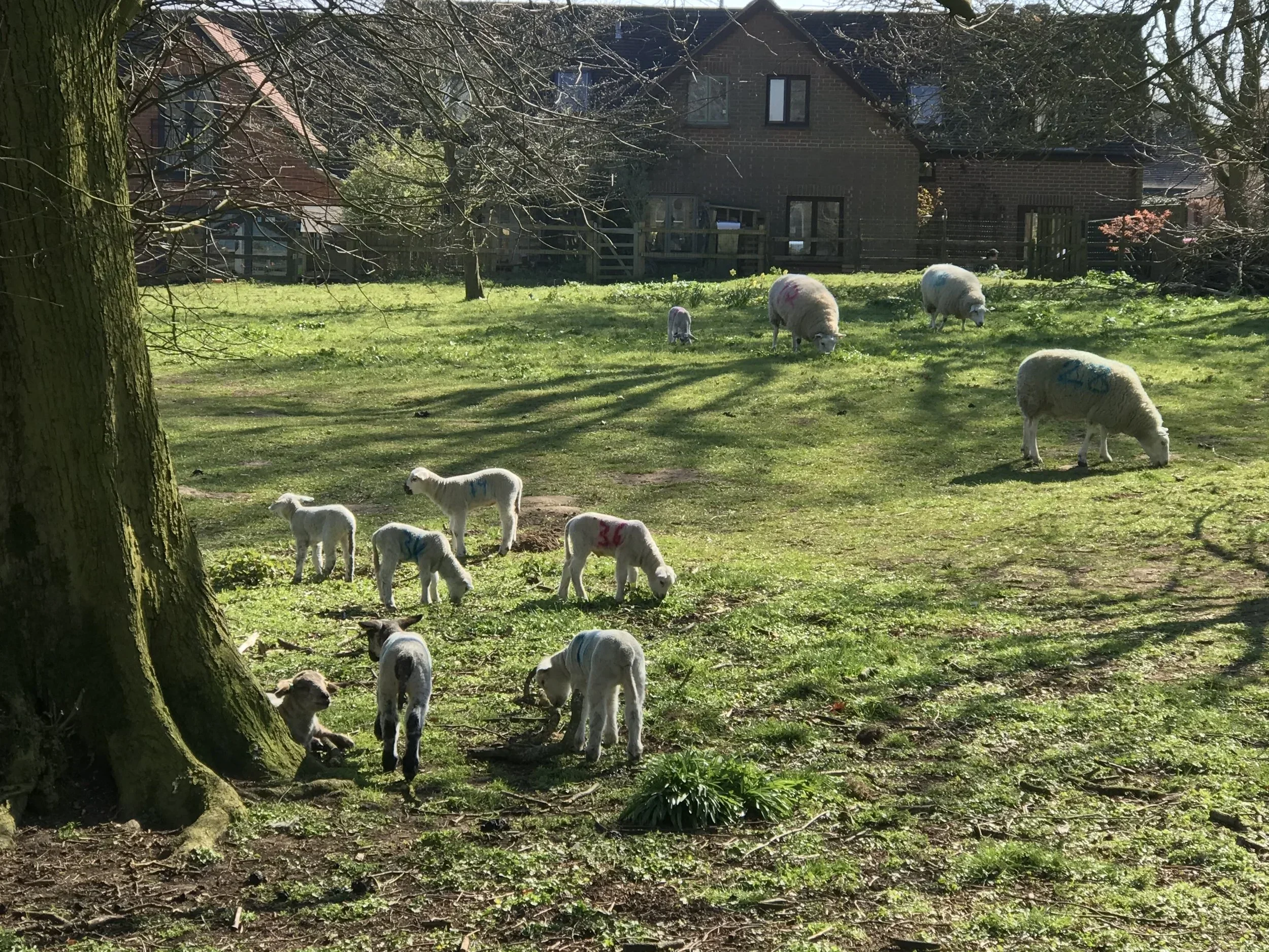 What if … The Walks were accessible to everyone?