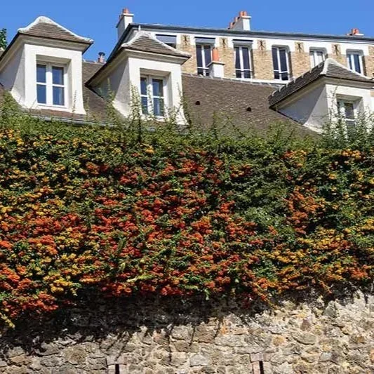 Preventing tool theft