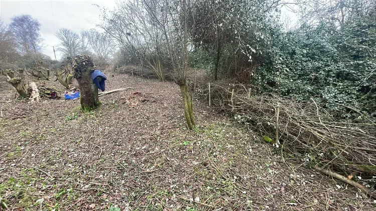 A Day in the Life  of Brill’s Wildlife and Community Ranger