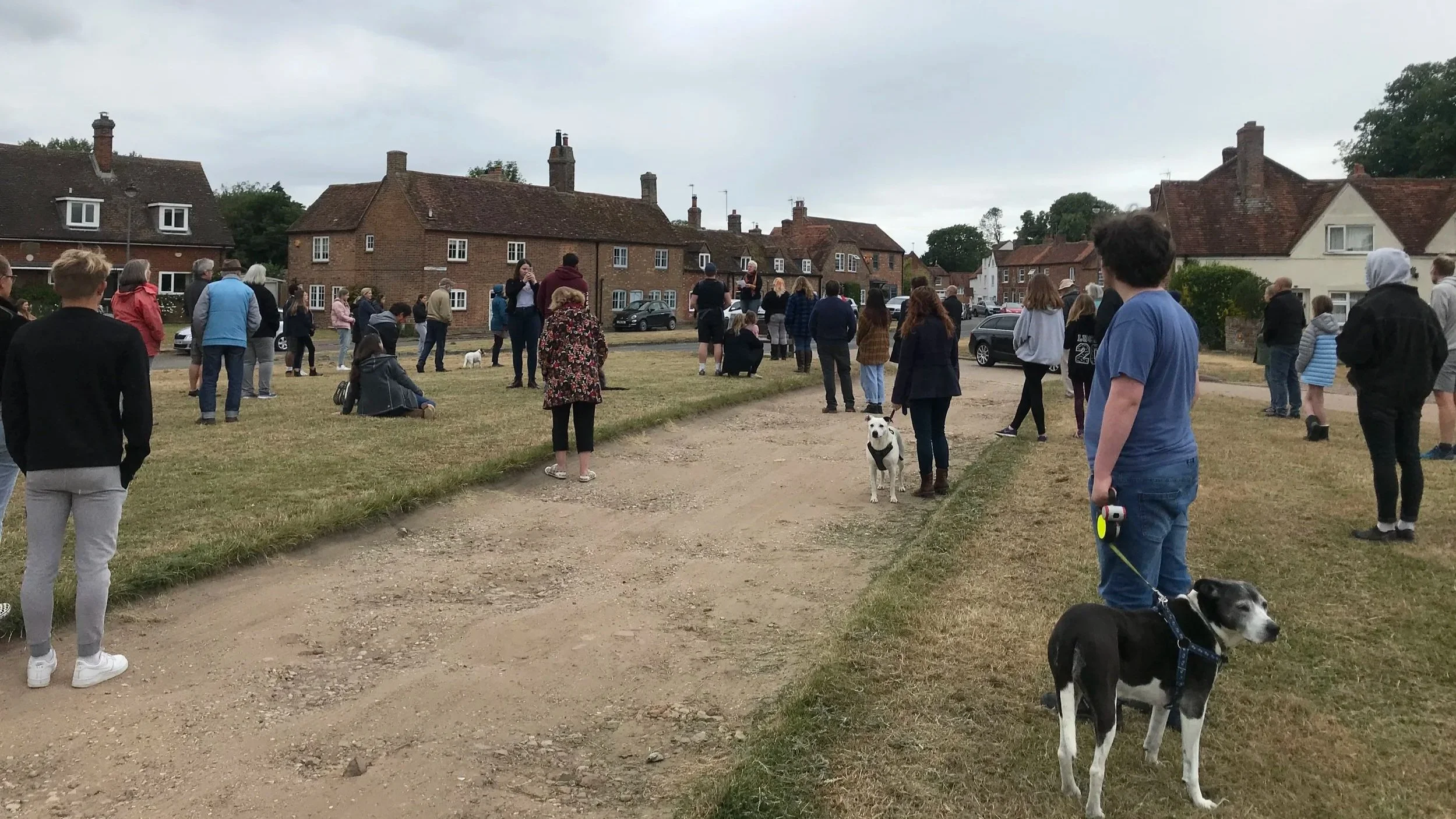 Photo of people standing respectfully, some with dogs, all with back to camera, in a grassy open space listening to a distant speaker standing on a bench.