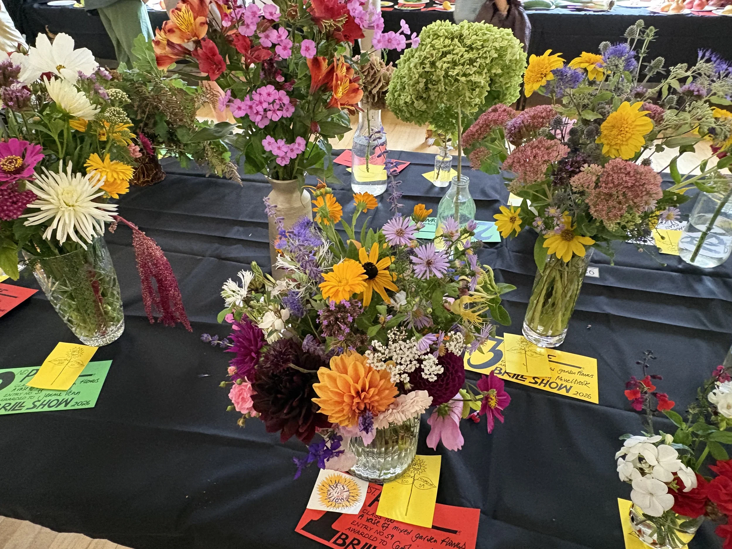 Photo of assorted brightly coloured Autumn flowers in vases