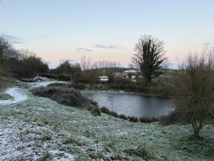 Photo of a large frozen pond surrounded by snow-covered grass.