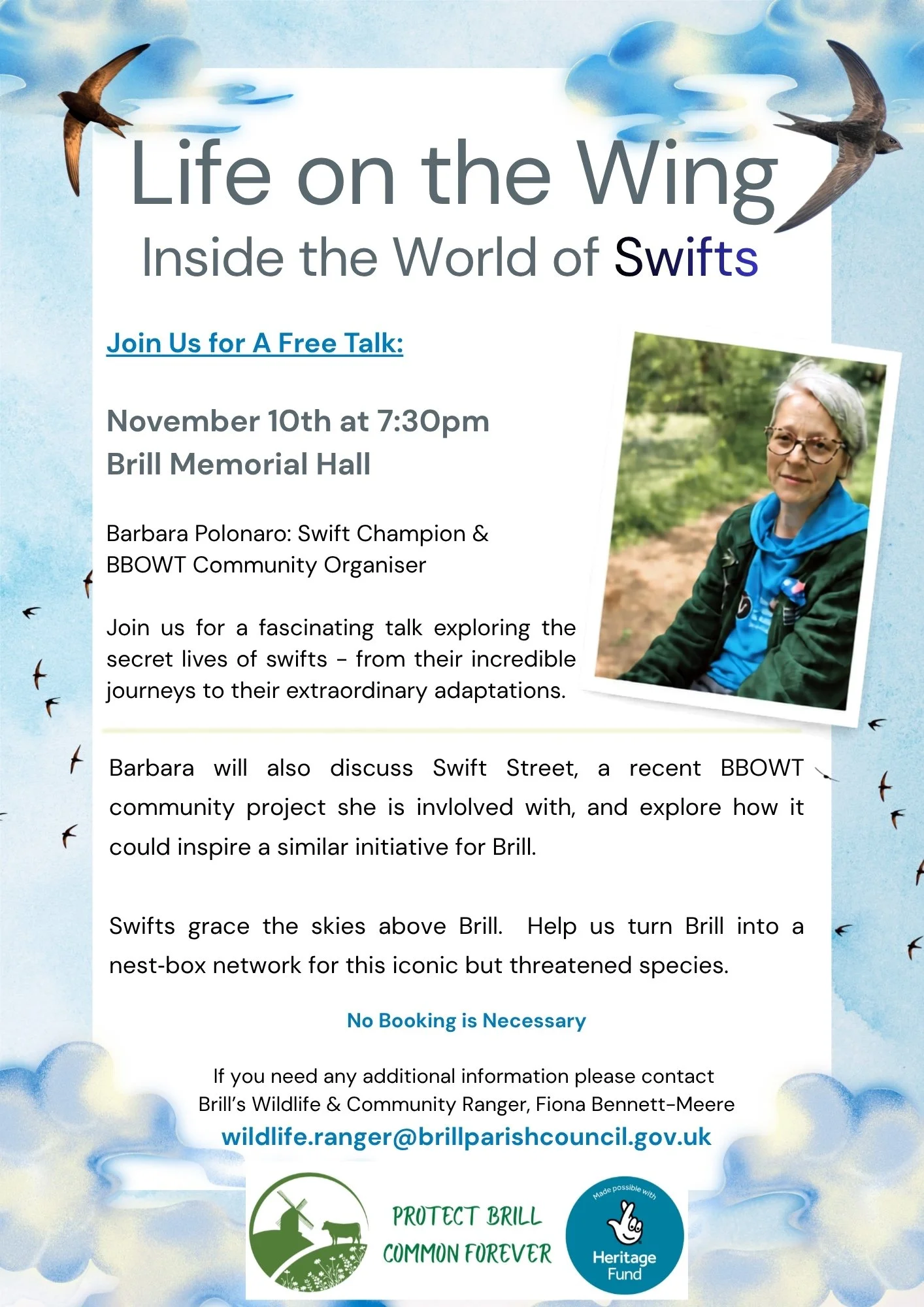 Poster promoting talk about Swifts on November 10th in Brill Memorial Hall