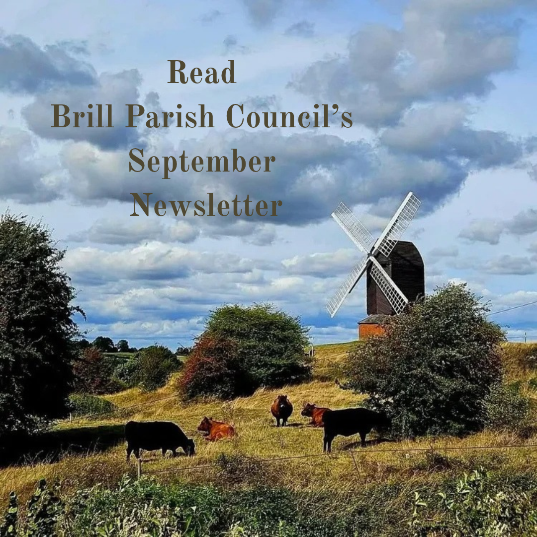 Photo of windmill with five cows in the foreground