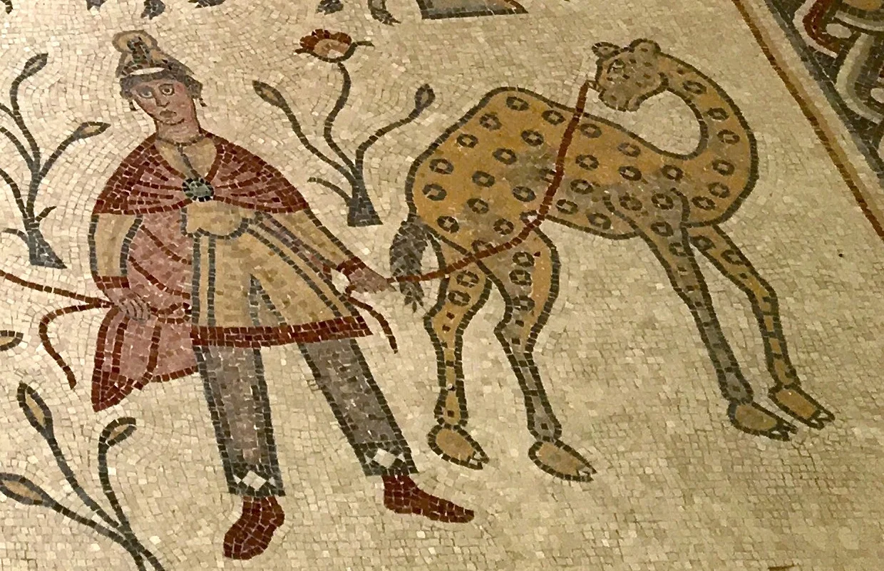 Byzantine church mosaic, Madaba