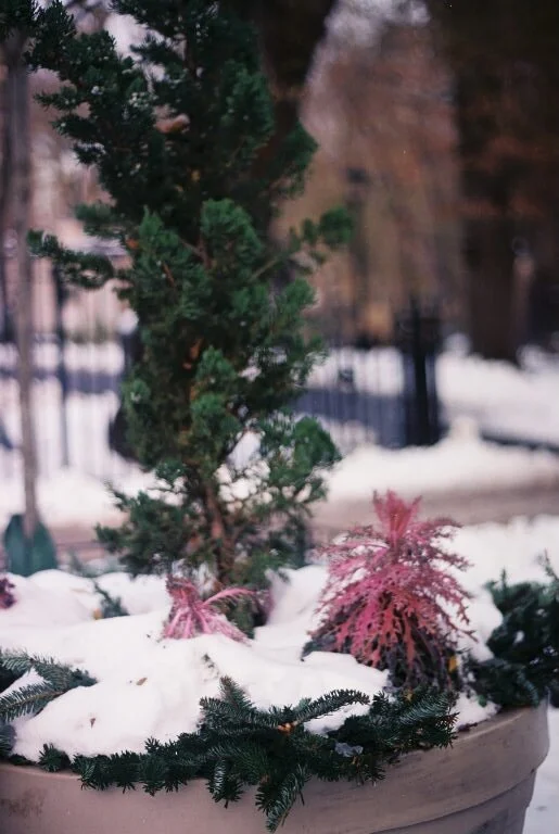 S214686-R3-039-18.jpeg
