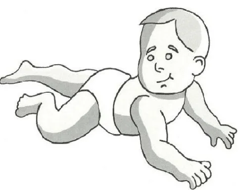 The Amphibian reflex position.