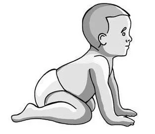 The STNR pattern. When a baby lifts their head up, their hips will go back. When they tilt their head downward, their hips will lift up.