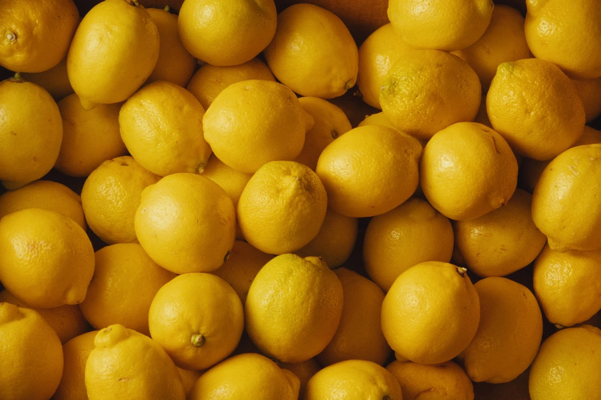 Still 2026-03-19 020953_1.4.1.jpg