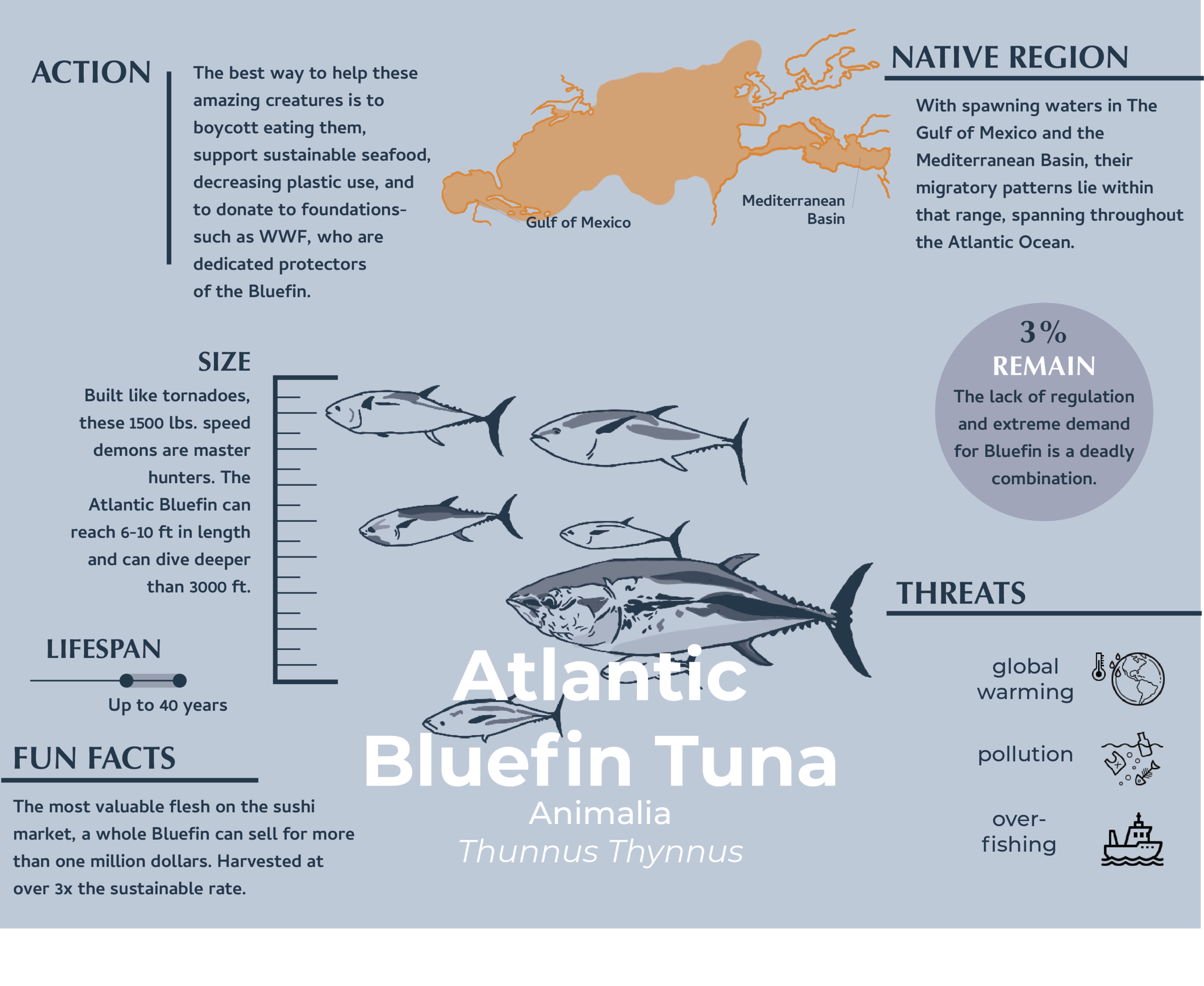bluefin infographic.png