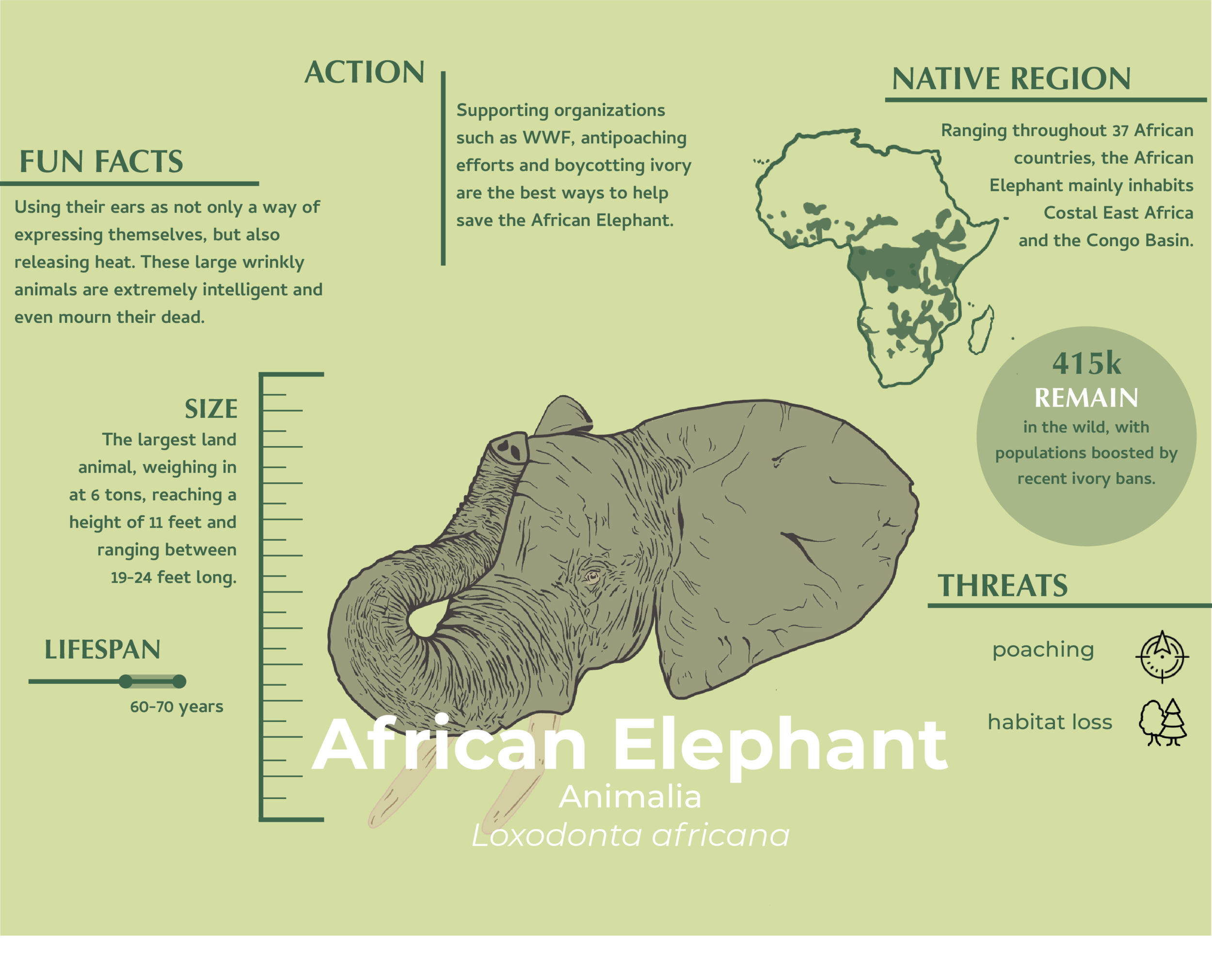 elephant infographic.png