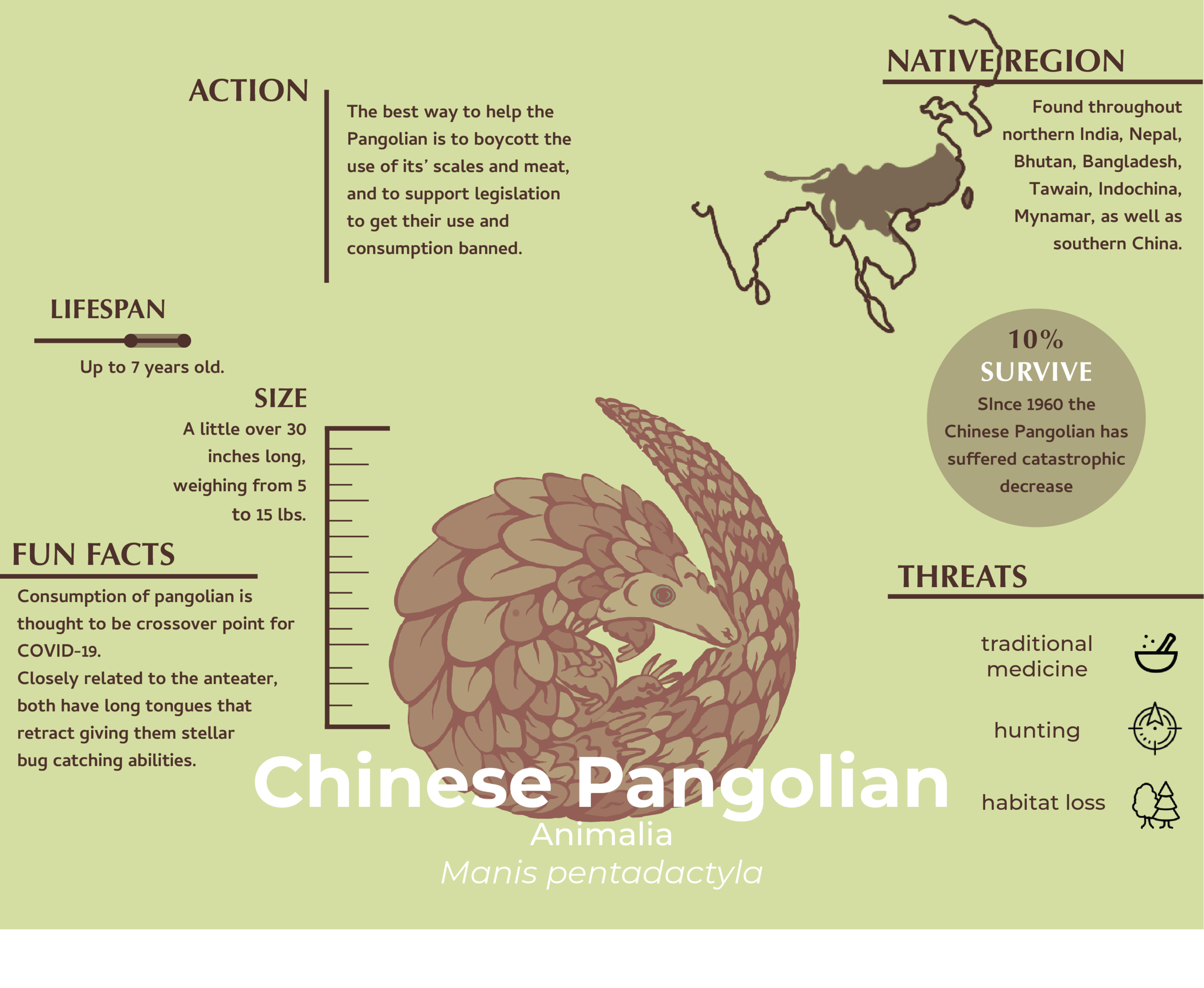 pangolian infographic.png
