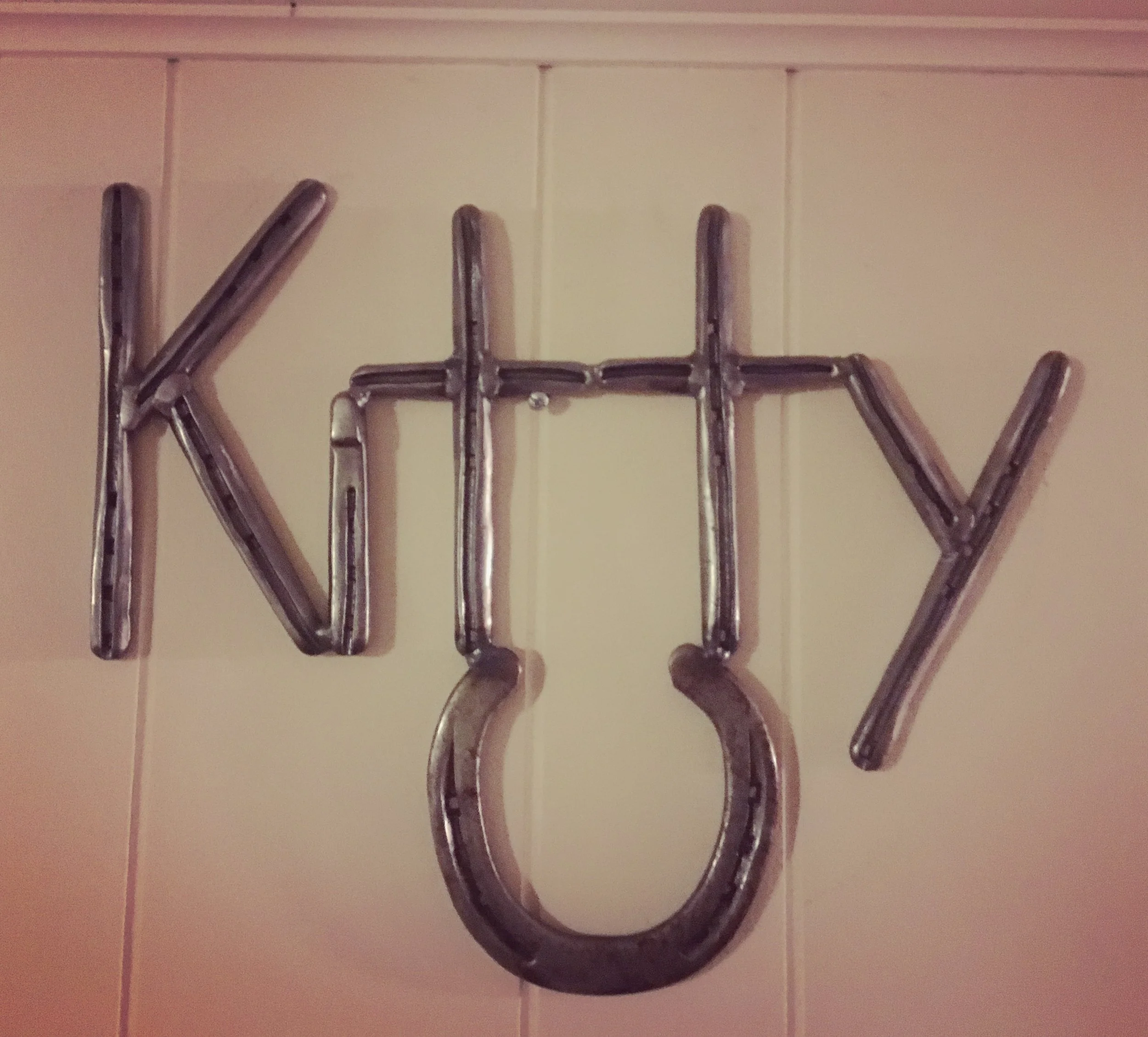 A horses name incorporating the clients horse's actual shoes