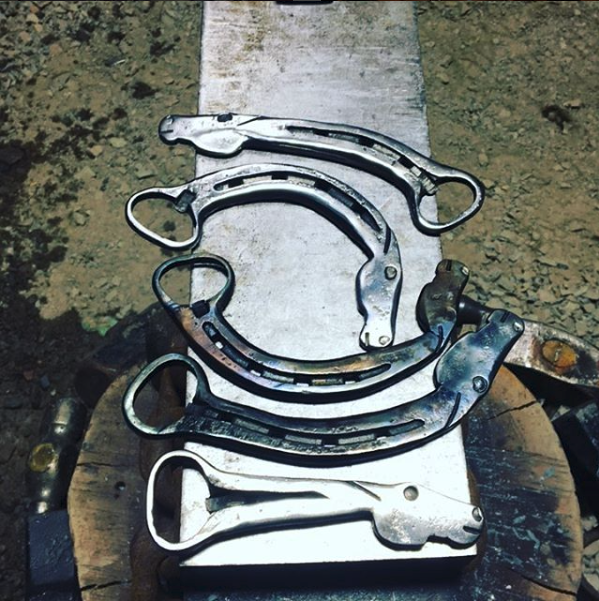 Horse Shoe Bottle Openers with Horse Head