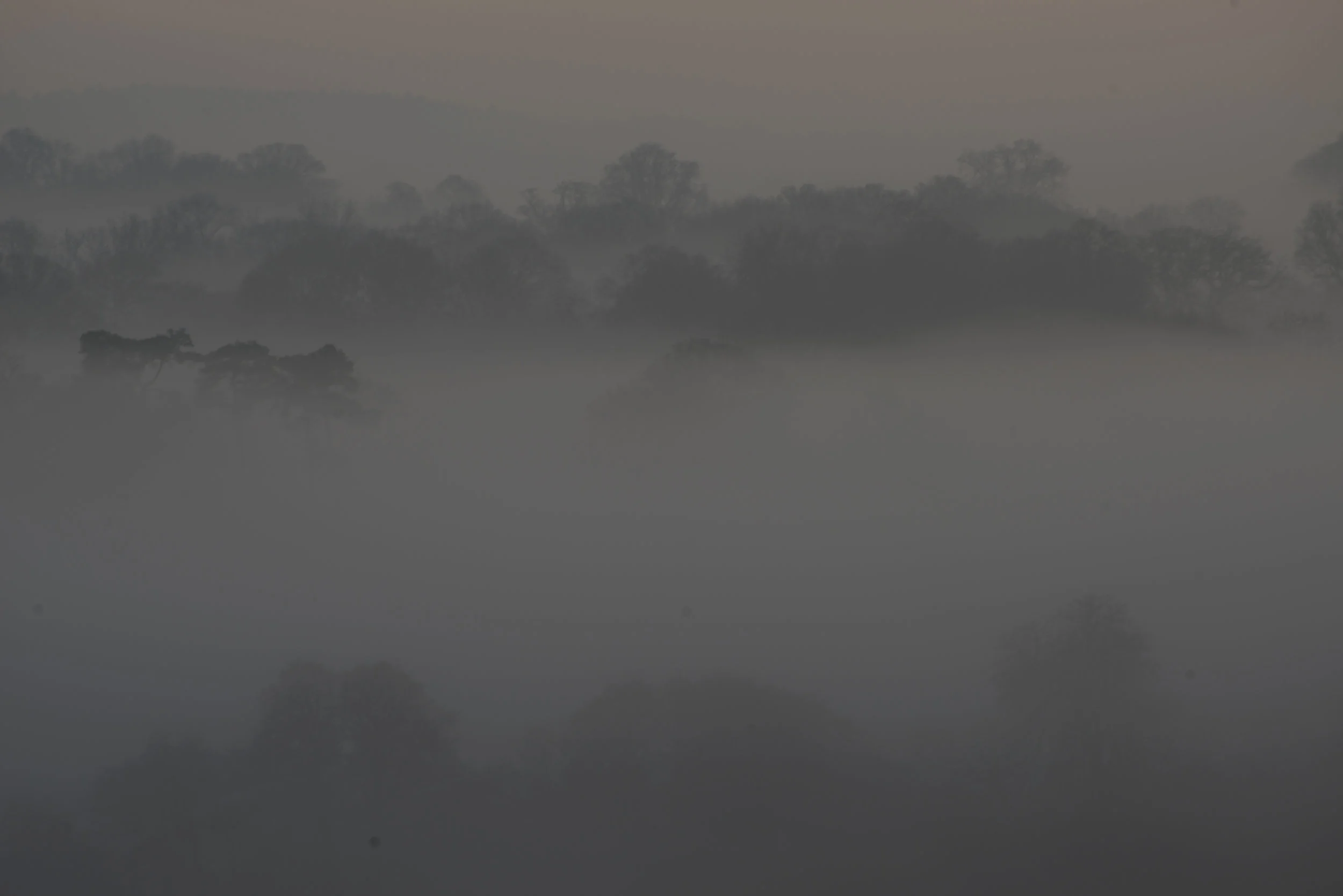 8710simplyfog.jpg