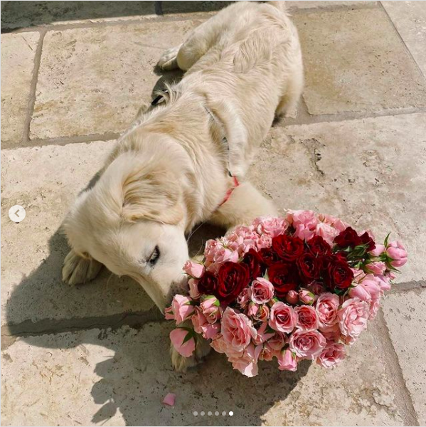 Screen Shot 2021-02-04 at 1.26.56 PM.png