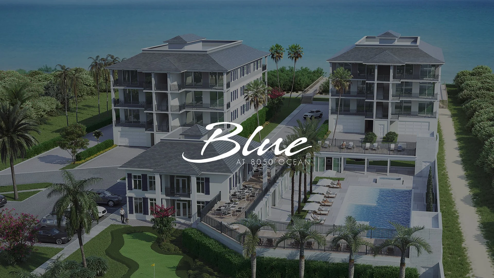 8050 Logo Banner.jpg