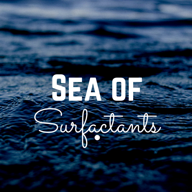 THE SEA OF SURFACTANTS