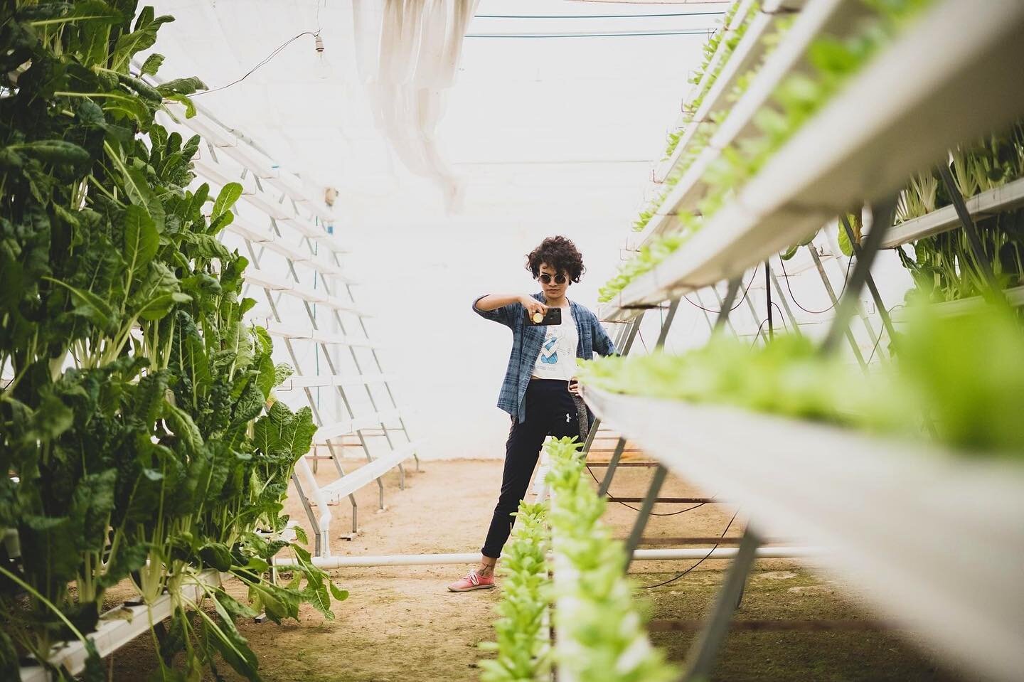 We're hosting a virtual workshop on Hydroponics 🍃 on Saturday, May 15 at 11am MST. Join us and learn more on this exciting form of gardening! 🪴 Register today to reserve your spot. ⬆️ Link is in the bio! ⬆️ 
.
.
.
.

#virtual #virtualgardening #gar