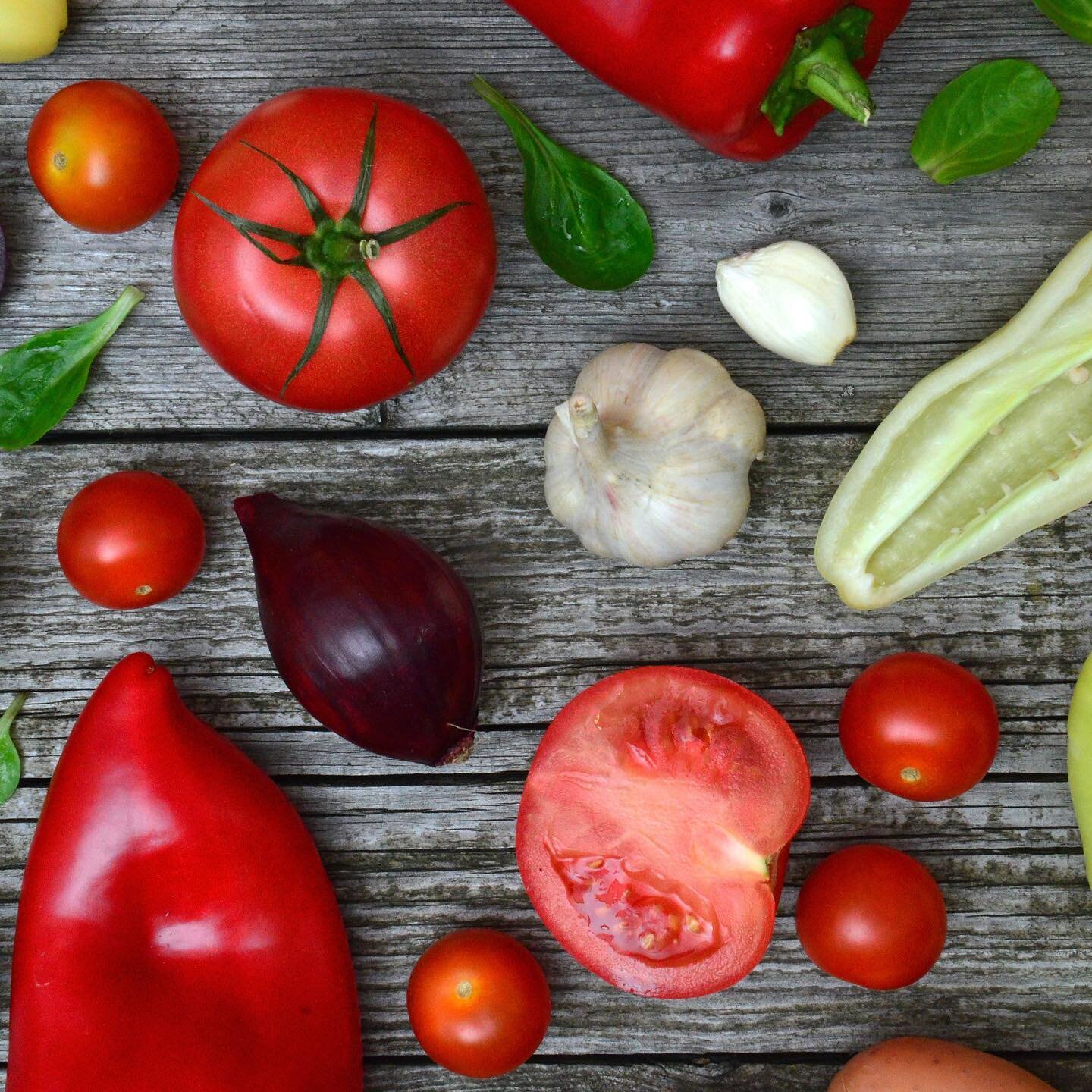 DYK gardening is a great way to absorb vitamin D, known as the sunshine vitamin. Vitamin D is crucial in order to maintain healthy bones and teeth. Hands On Growing offers food growing programs, find out how you can get involved! Link is in bio ⬆️⬆️⬆