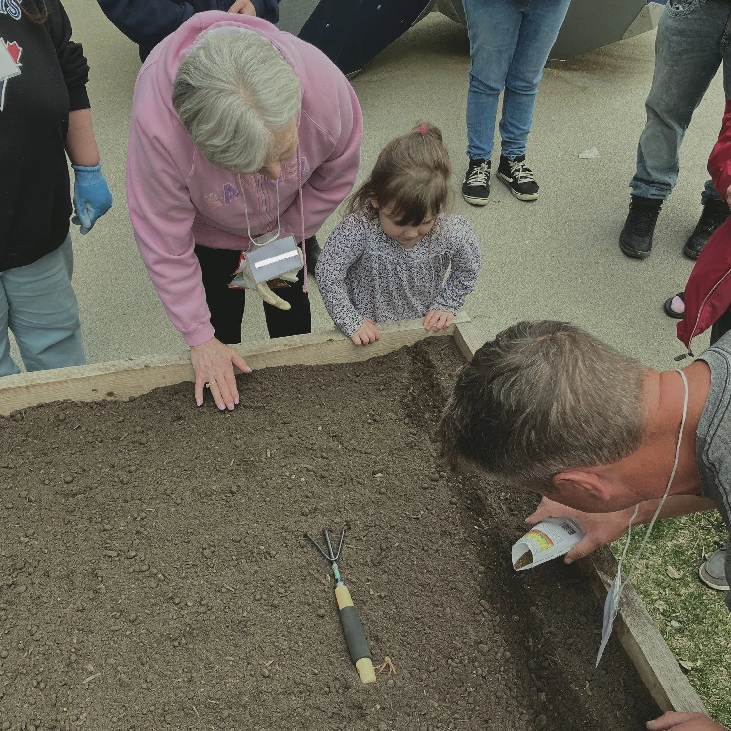 man showing a woman and child how to plant seeds in outdoor garden bed