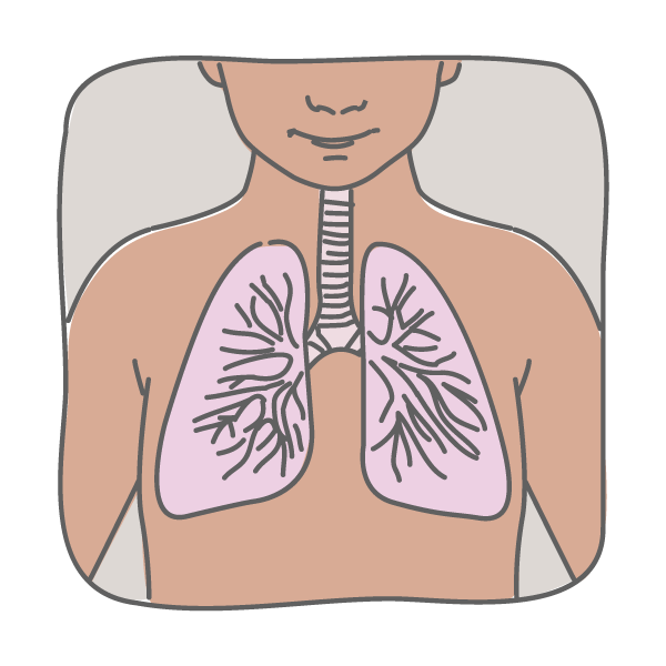 pulmonary clearance.png