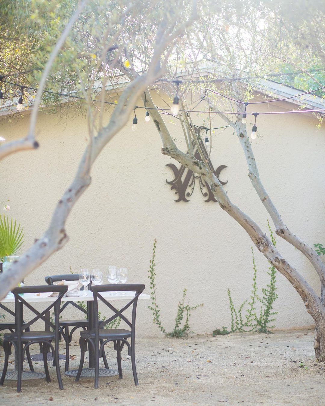 Boutique Wineries We Love in Sonoma Valley