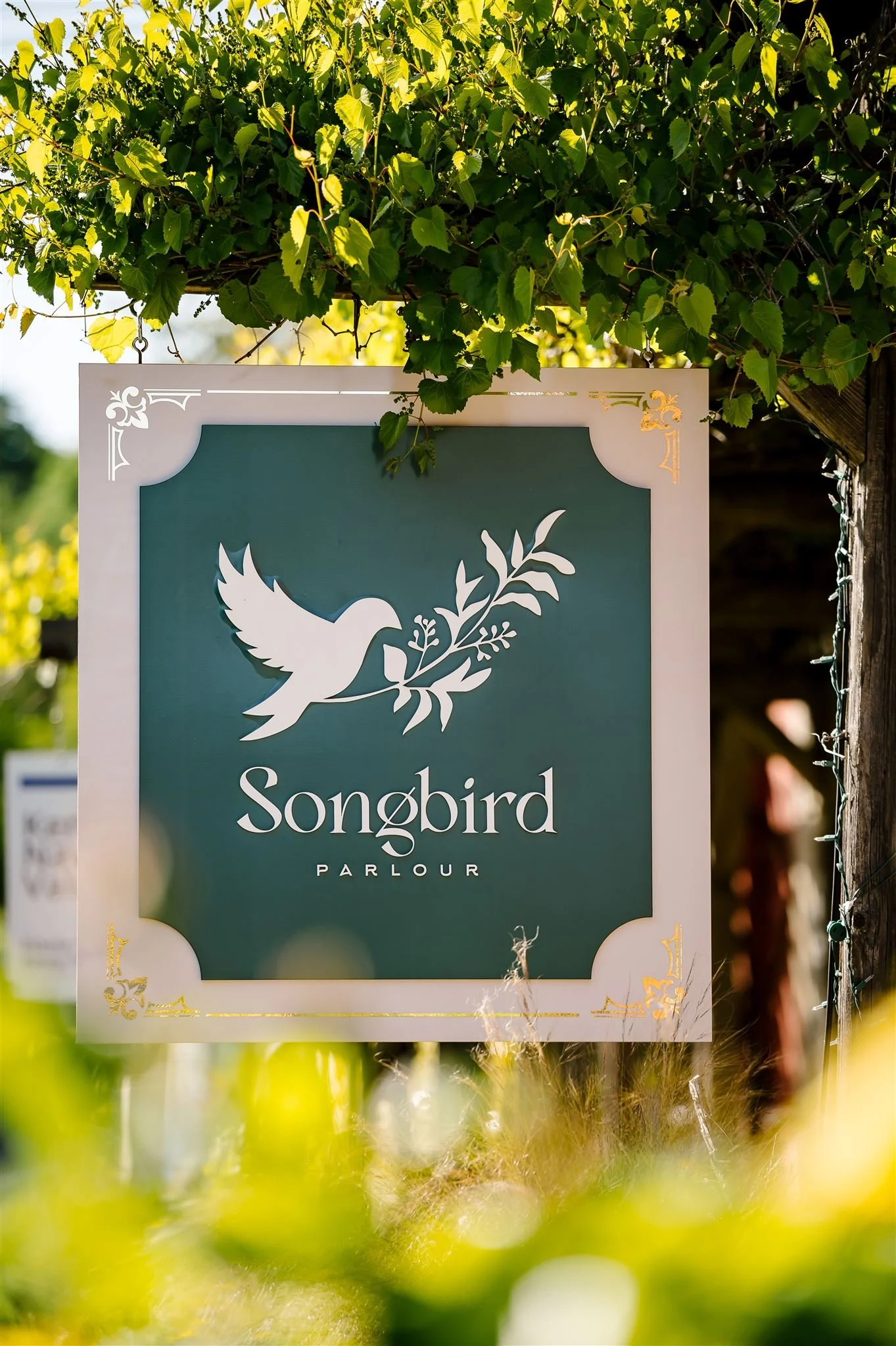 Hidden Gem Restaurants in Sonoma: Local Insider Spots You Won't Find on Tourist Lists
