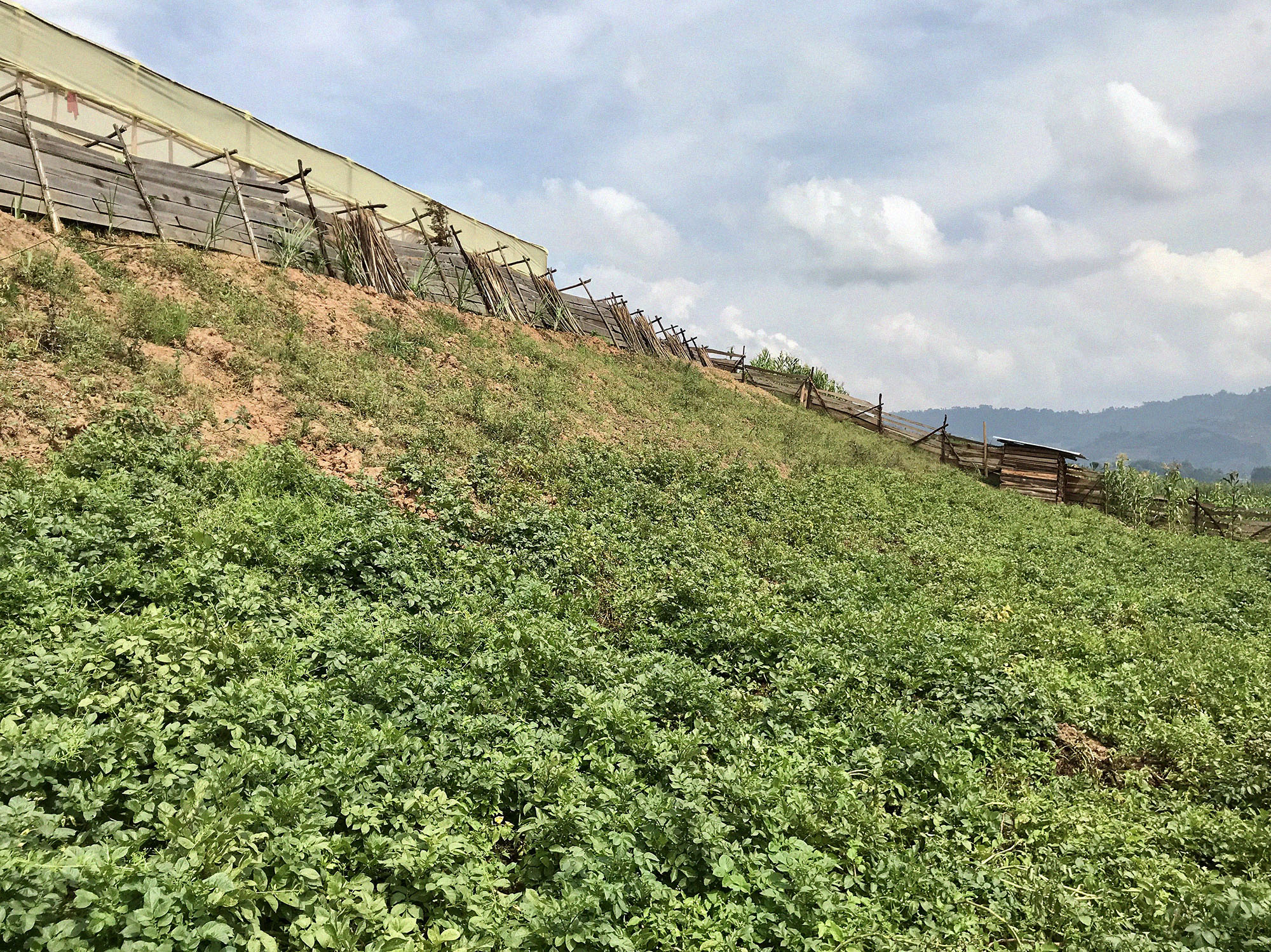 1.29.18 - Model Farm visit 2.jpg