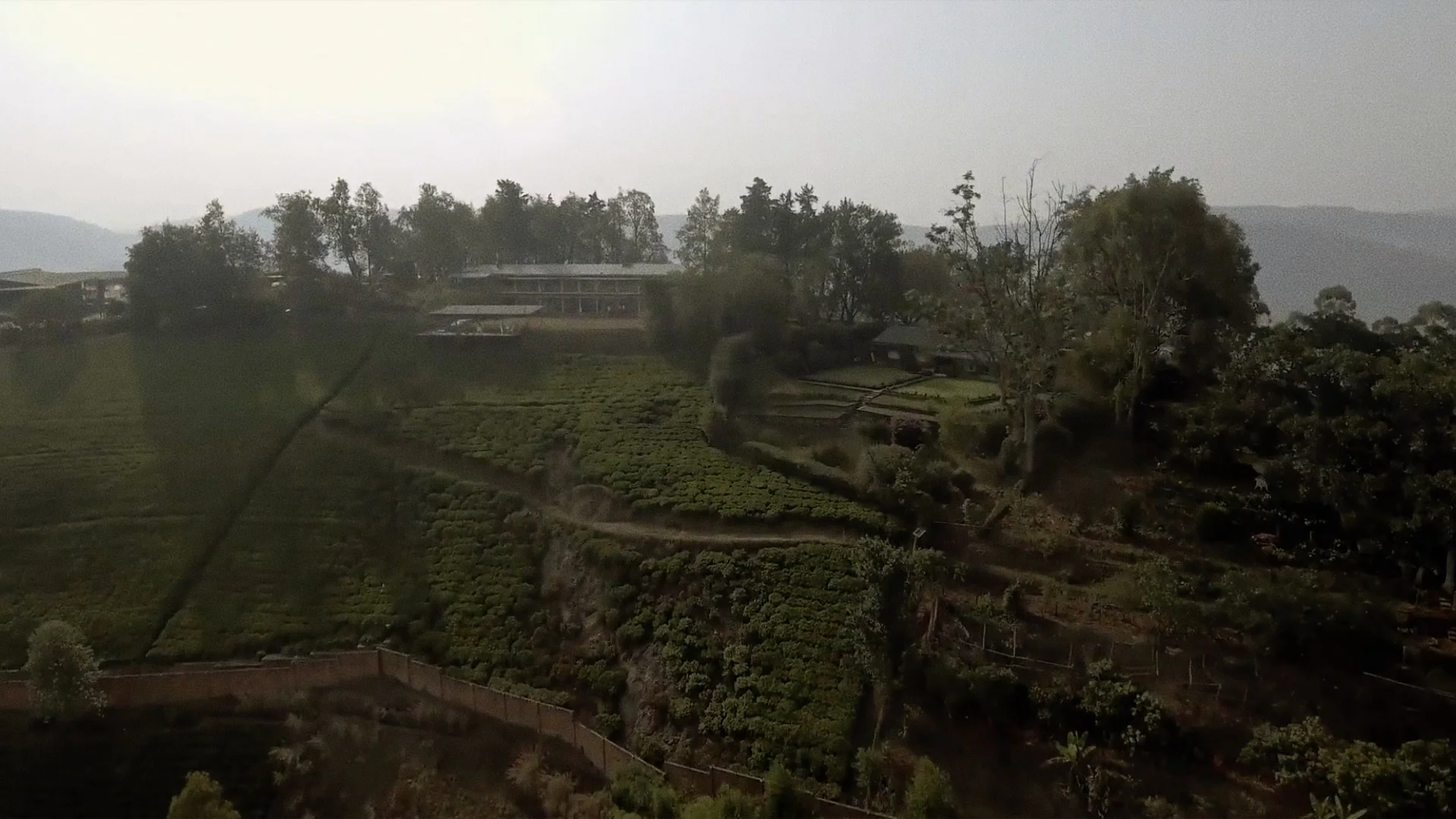 GLI Main Header 01.jpg