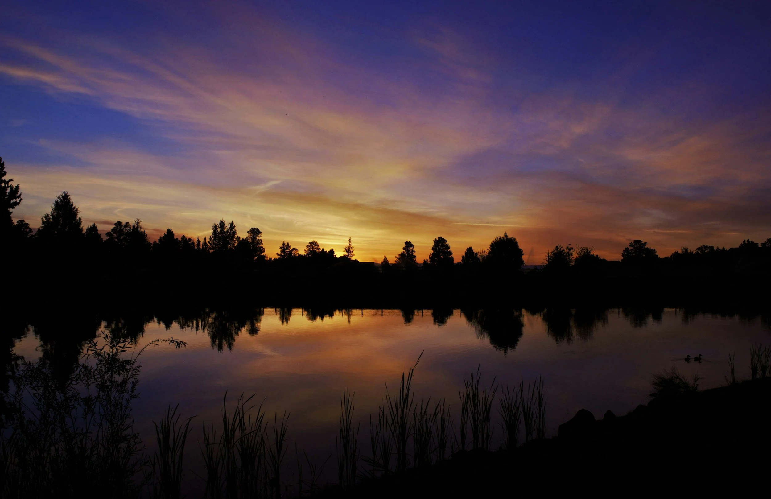 "SUNSETERS"