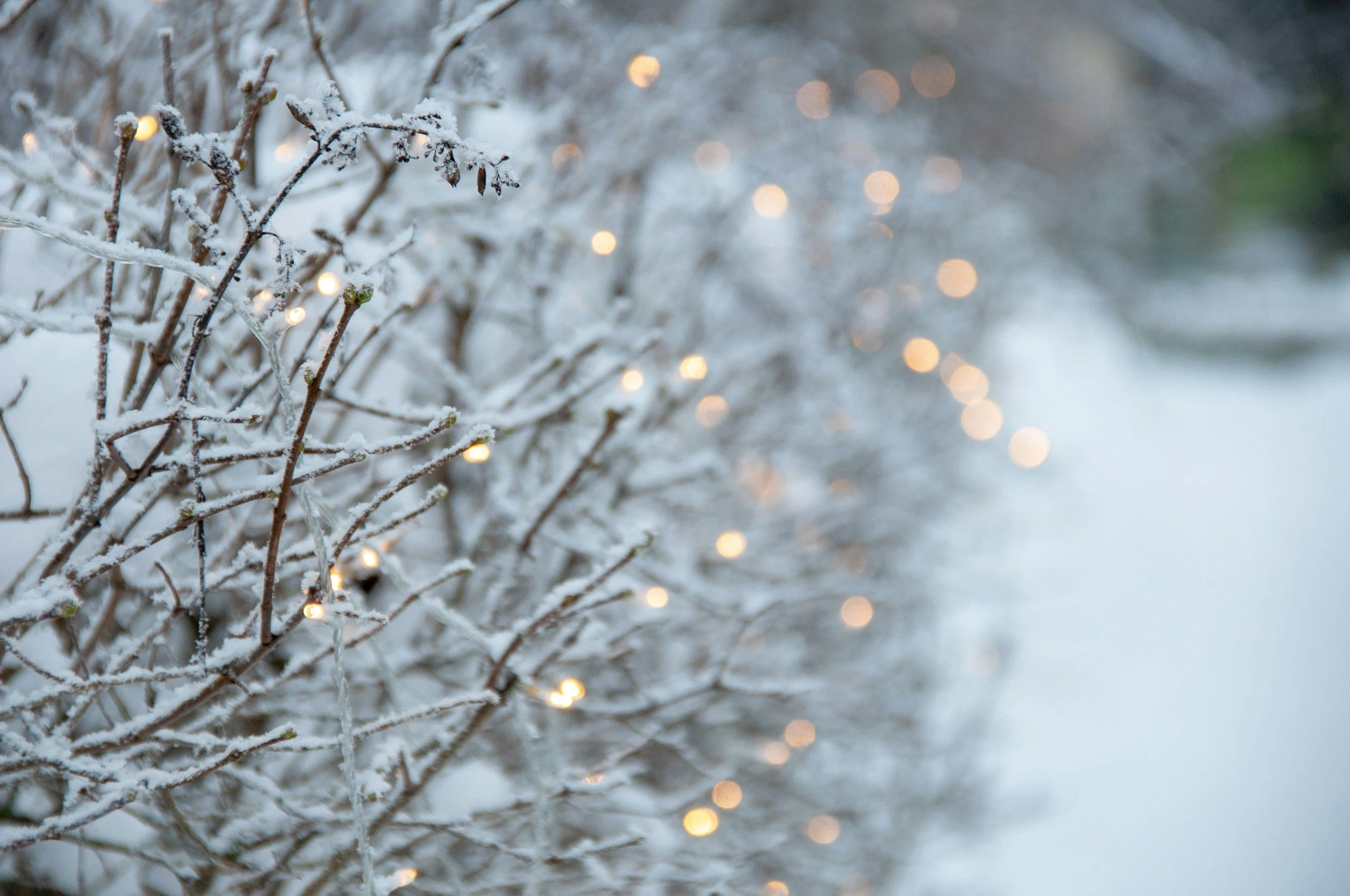 Christmas Candlelight Services