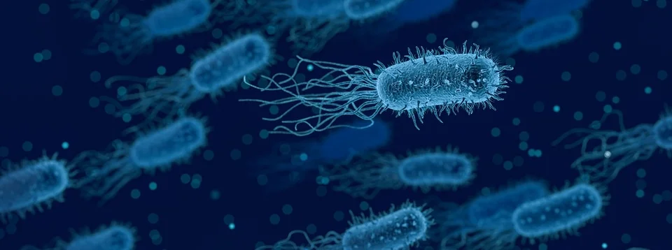 bacteria-3662695_960_720.jpg