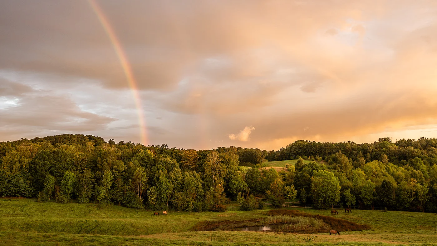 Regnbue over Søllerød Naturpark, Rudersdal (September 2018)