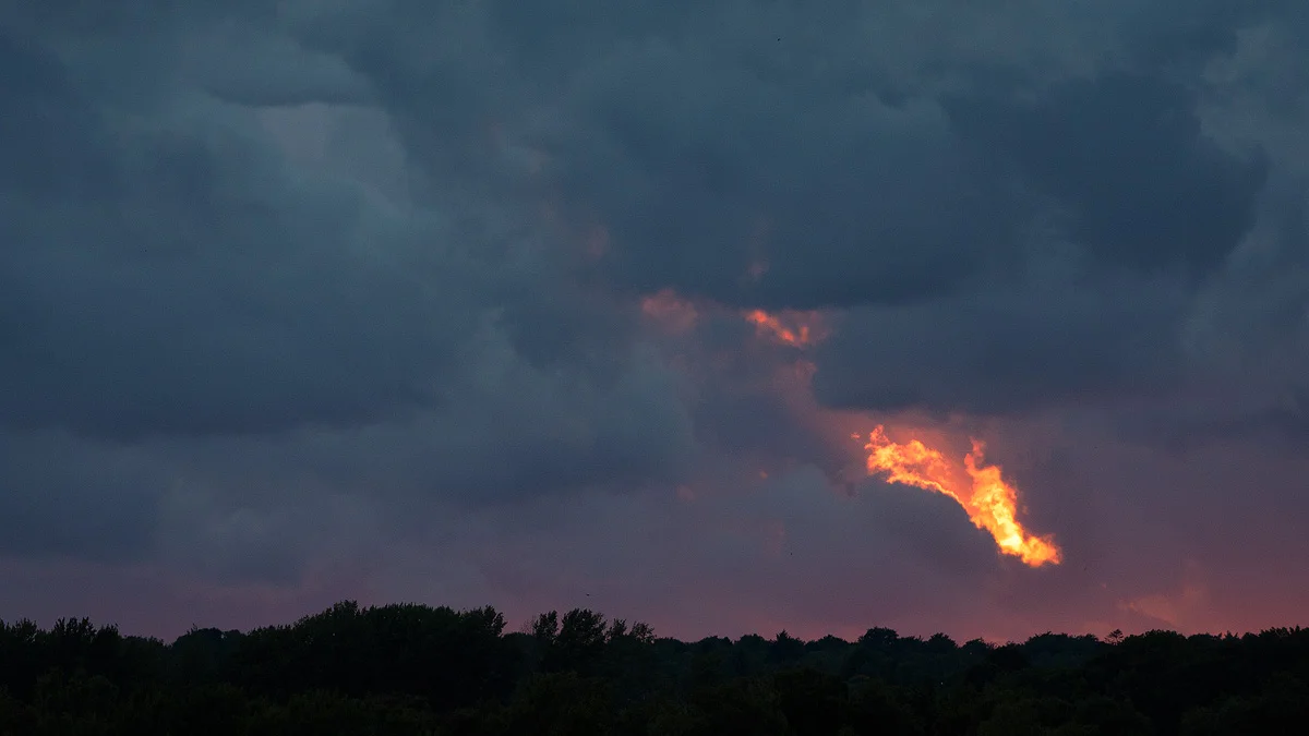 Solglimt, Sjælsø, Rudersdal (August 2018)