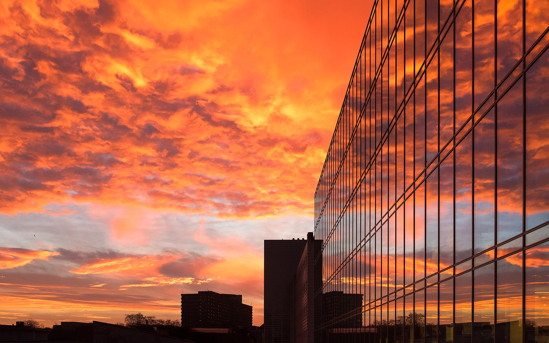 Vinterhimmel, Nørre Campus, København (November 2016)