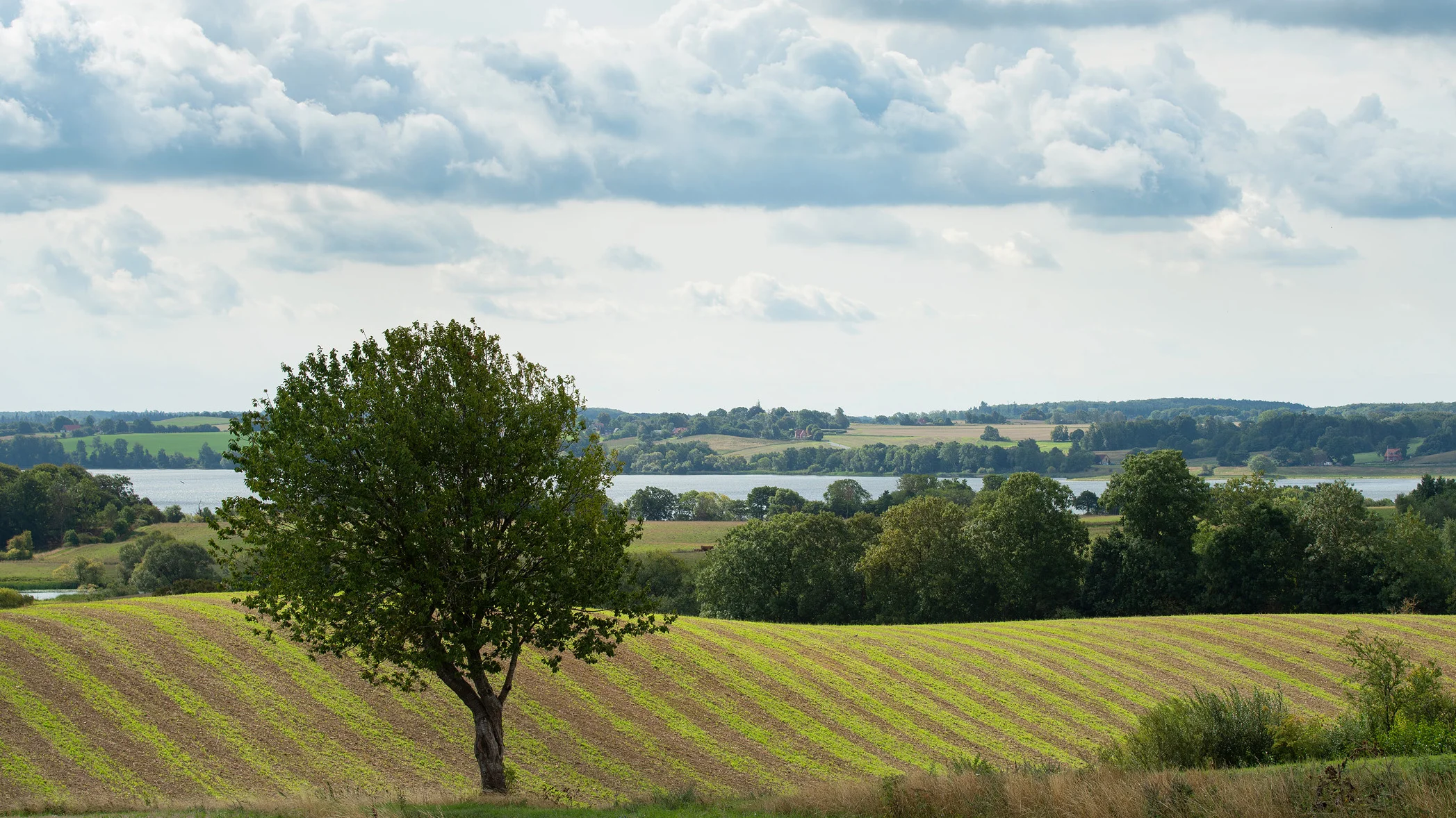 Tystrup-Bavelse søerne, Sorø (August 2018)