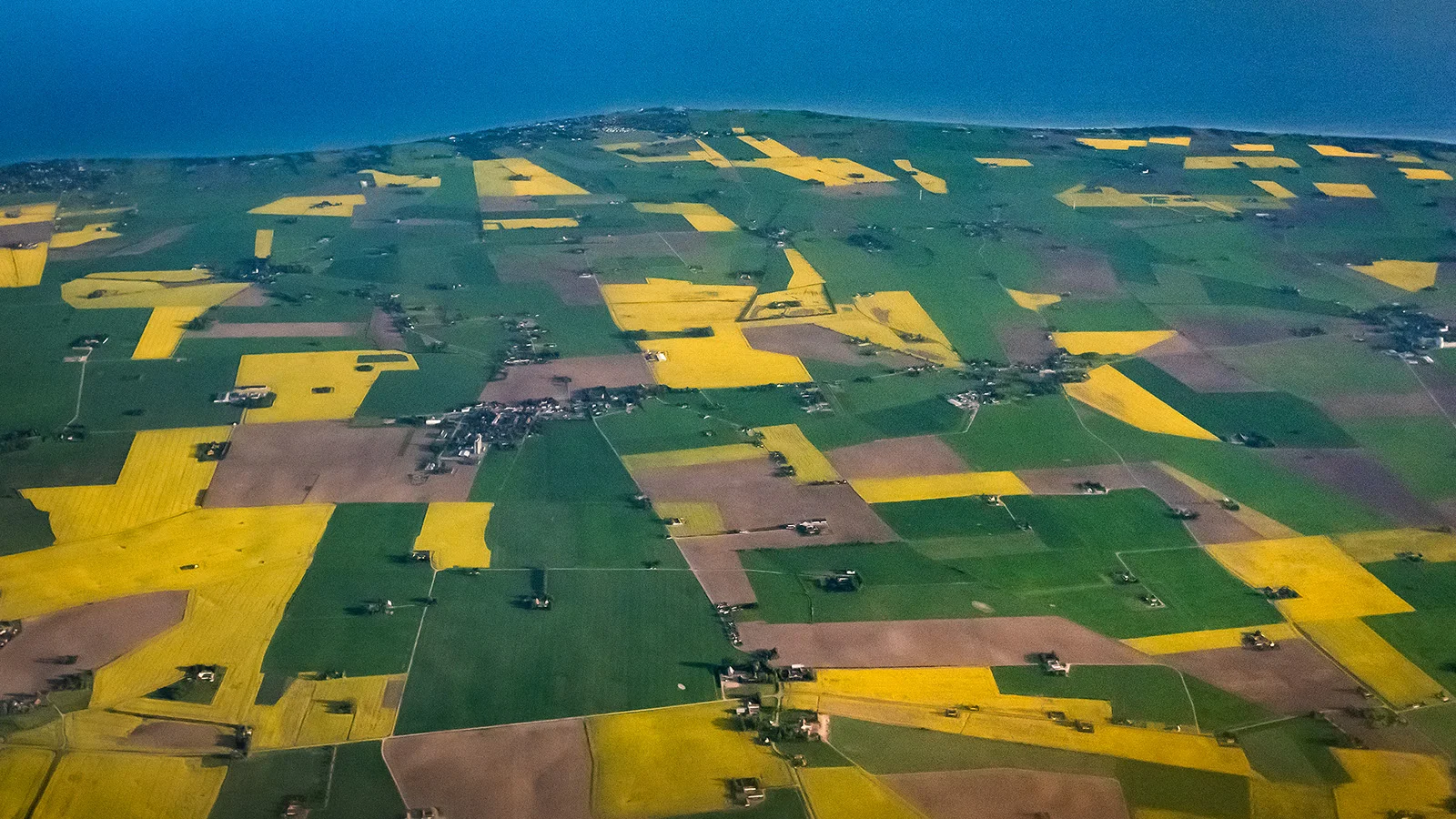 Rapsmarker, Skåne (Maj 2018)