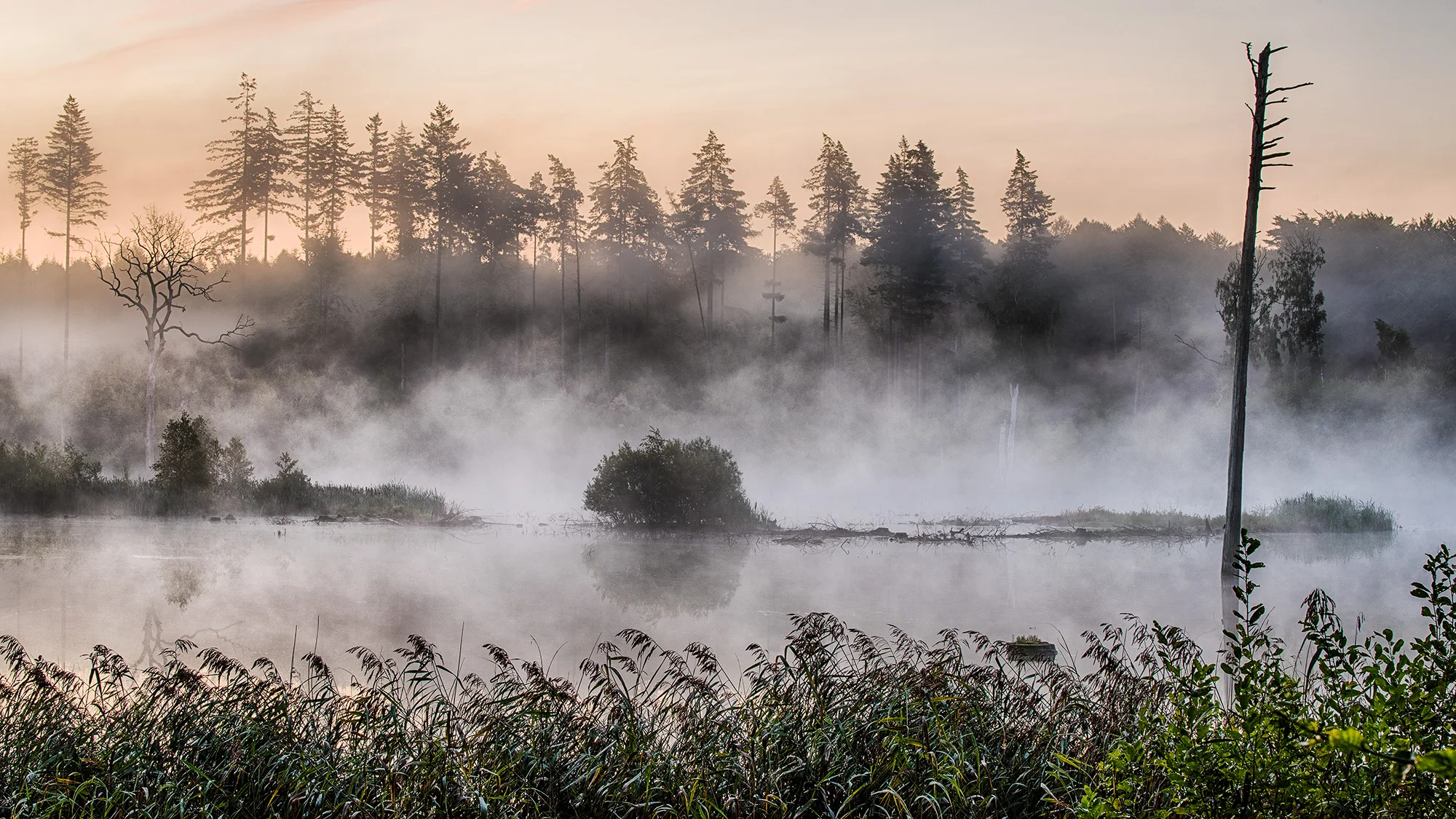 Stubbesø med morgendis, Rudersdal (September 2017)