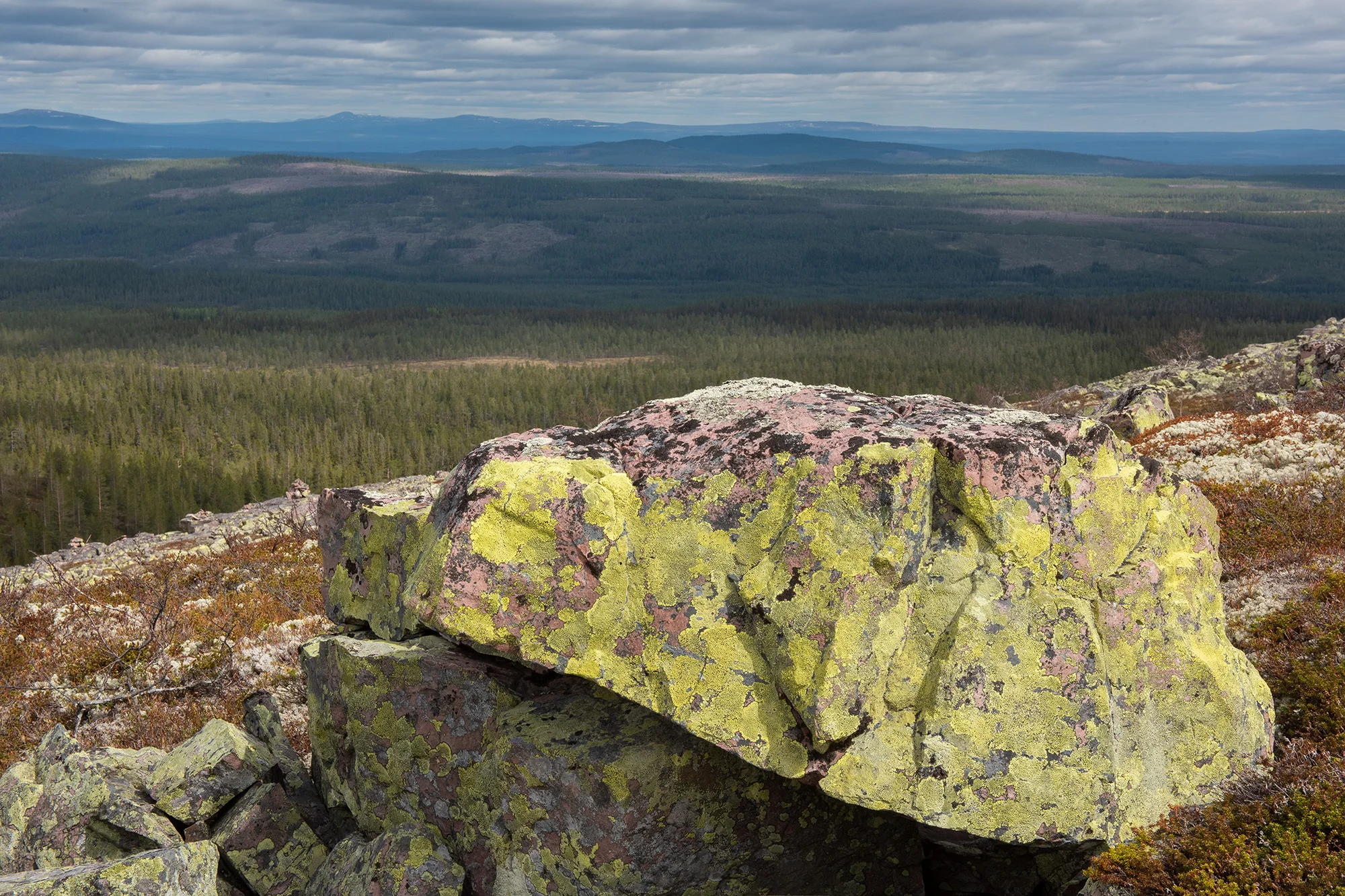 Udsigt fra fjeldet, Fulufjället, Sverige (Juni 2019)