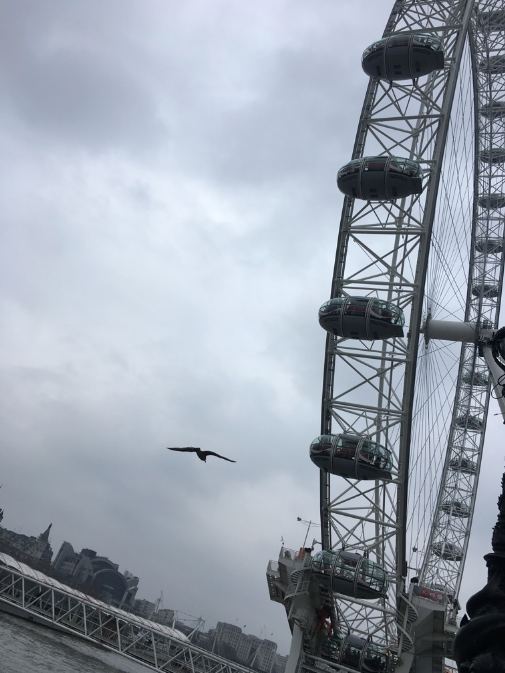 Screen Shot 2017-02-12 at 9.28.18 PM