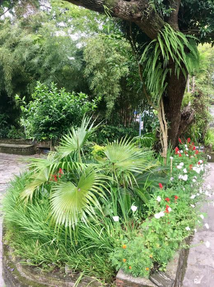 Screen Shot 2017-05-29 at 10.30.12 AM